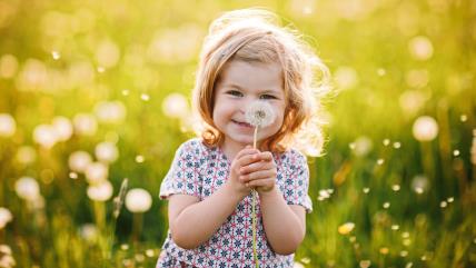 Devojčica sa maslačkom u ruci