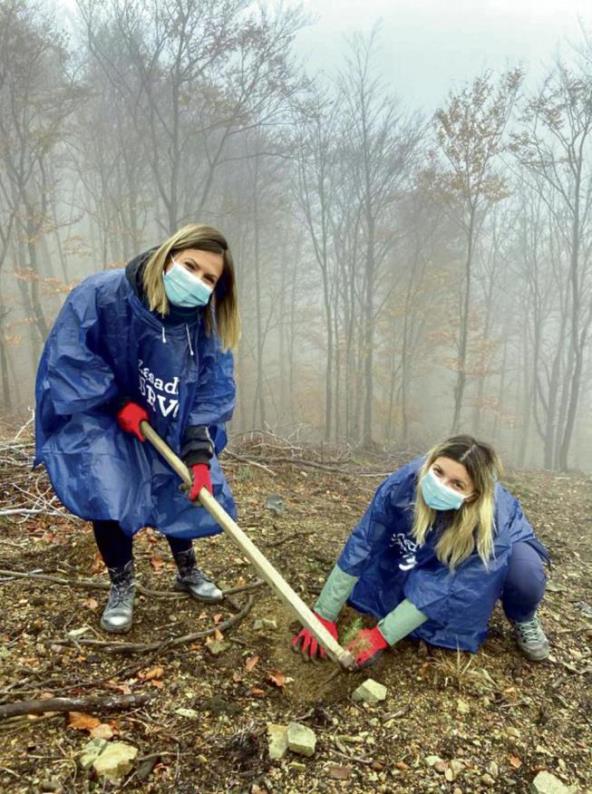 zasadi-drvo-klimatske-promene-ujedinjeni-za-spas-planete