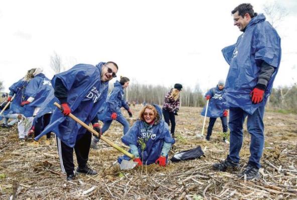 zasadi-drvo-nova-godina-zajedno-s-vama-menjamo-svet-i-svest