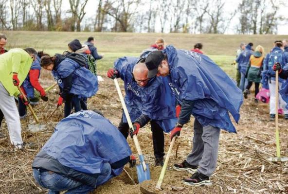 zasadi-drvo-nova-godina-zajedno-s-vama-menjamo-svet-i-svest