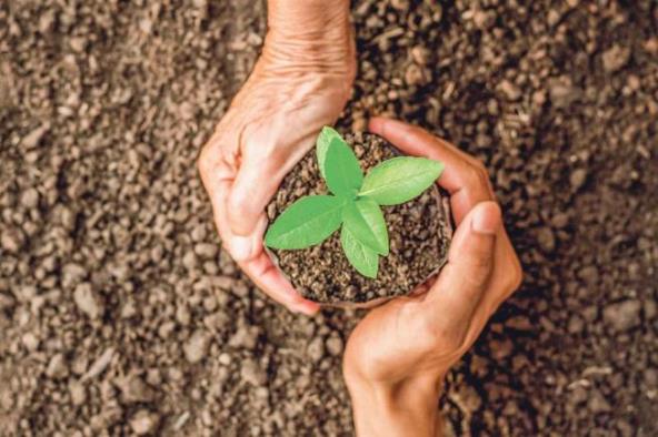 zagadjenje-zemljista-treba-nam-zdrava-zemlja