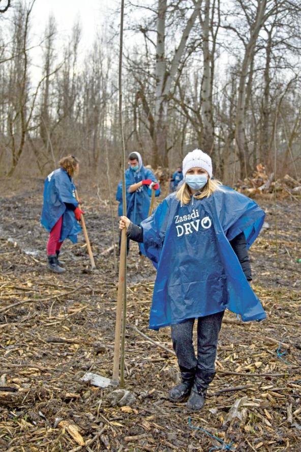 zasadi-drvo-suma-leci-sumska-medicina-je-nas-besplatni-lekar