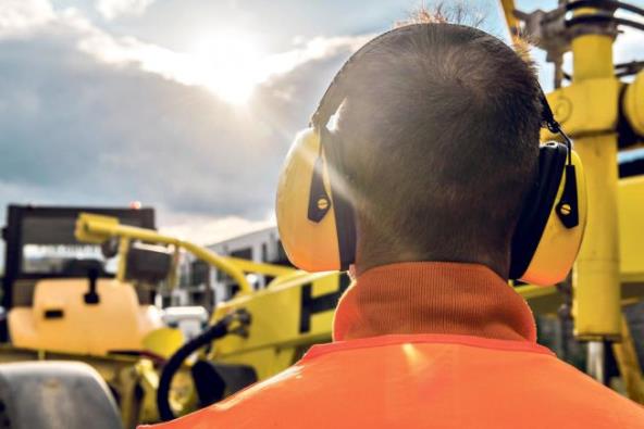 zasadi-drvo-zagadjivac-buka-nije-u-modi