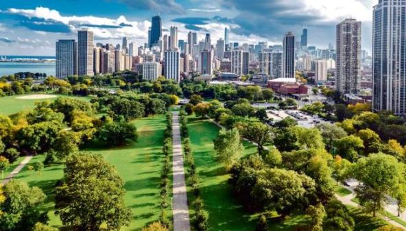 zasadi-drvo-odrzivost-zeleni-gradovi-buducnosti