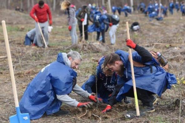 u-najvecoj-akciji-sadnje-zasadi-drvo-do-sada-posadjeno-140-000-sadnica-i-prikupljeno-1-5-tona-semena-sada-biramo-zasadi-drvo-ambasadore