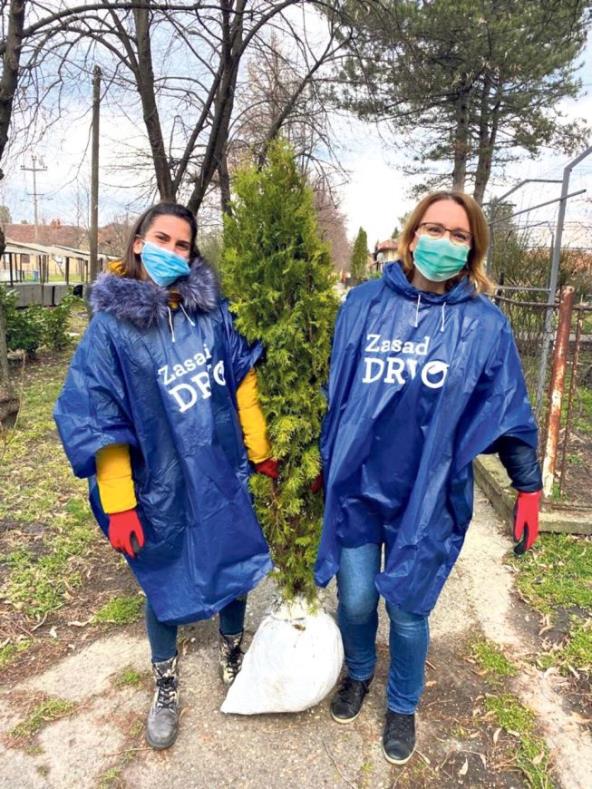 heroine-kompanije-dm-u-borbi-za-zeleniju-buducnost