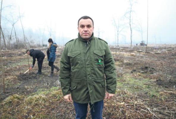 zasadi-drvo-sadnja-u-skladu-sa-prirodom