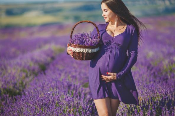 Lavanda, trudnica, trudnoća