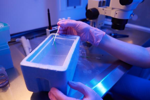 Žena se izlečila od raka pa uz pomoć VTO rodila blizance