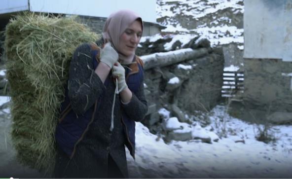 Žena nosi seno da nahrani stoku