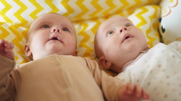 Bebe blizanci