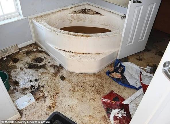 Kada s prljavom vodom u prikolici gde je živela devojčica