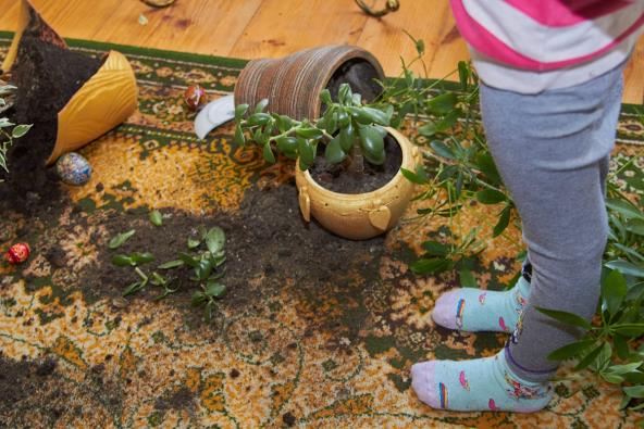 Dete oborilo saksiju sa cvećem