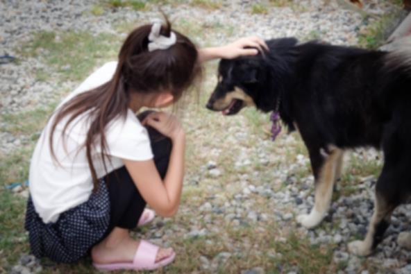 Devojčica mazi psa napolju