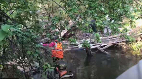 Devojčica izašla u dvorište da sačeka majku i nestala 2.jpg