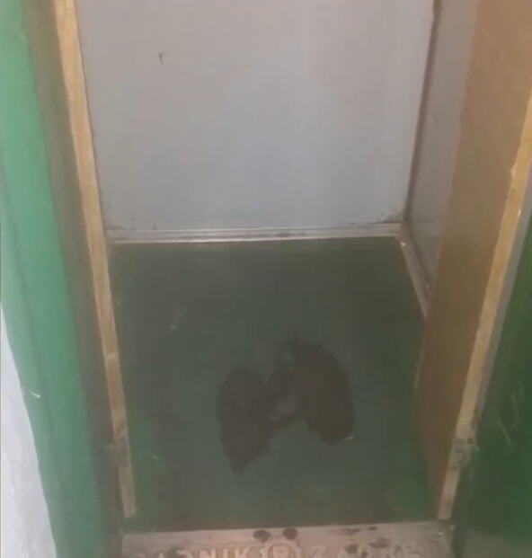Priča Milana koji je kao beba ostavljen u liftu.png