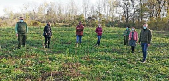 zasadi-drvo-godisnjica-trud-se-isplatio-nicu-nove-sume