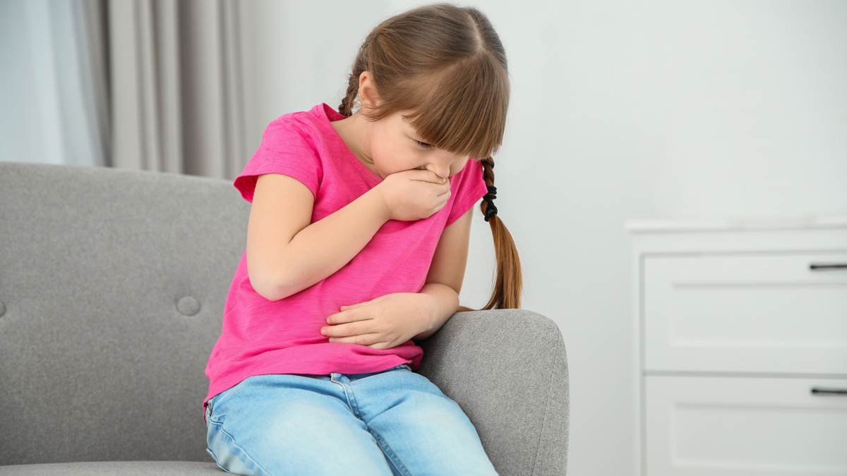 hundefutter barf kaufen Barfi Ente BARF Nassfutter Dose für Hunde kaufen – Lamers  Futtermittelhandlung main image 0