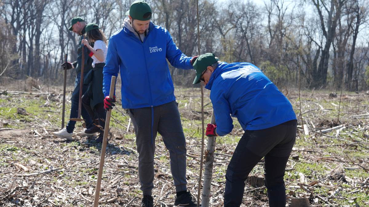 Za šest godina posađeno milion sadnica u okviru projekta Zasadi drvo