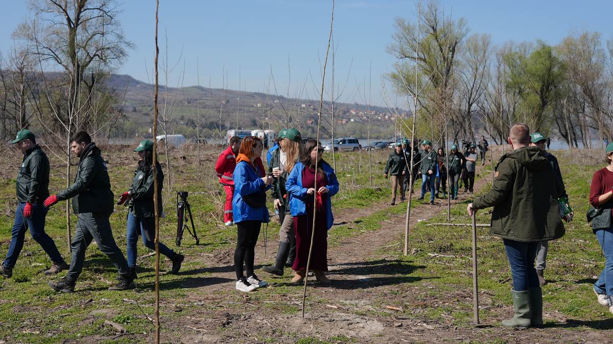 Za šest godina posađeno milion sadnica u okviru projekta Zasadi drvo
