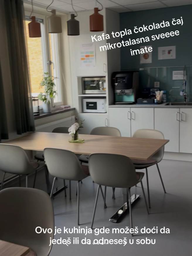 Ispovest Srpkinje koja se porodila u Švedskoj