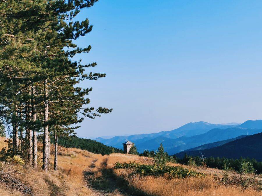planina0003.jpg