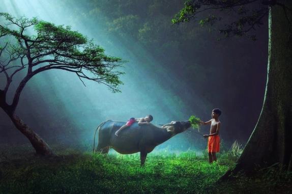 neverovatna-dela-beskrajne-decje-maste-foto