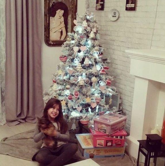 pogledajte-kako-su-poznate-licnosti-okitile-jelke-foto