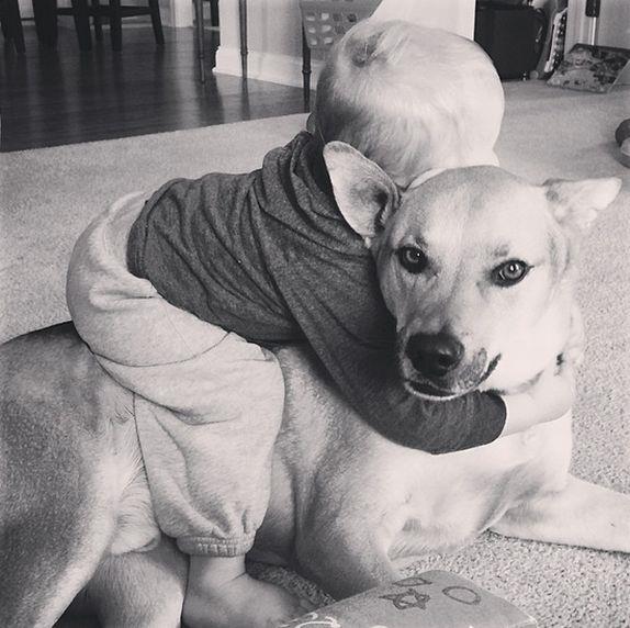 neodoljive-fotografije-zivot-jednog-pas-i-jedne-bebe-foto