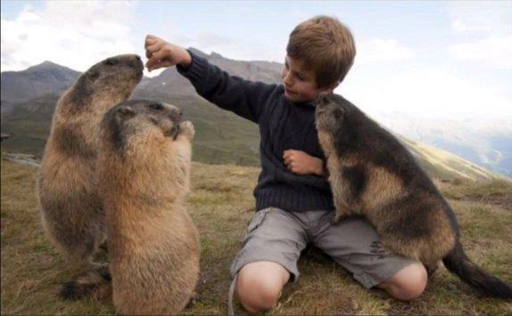 prijateljstvo-izmedju-decaka-i-mrmota